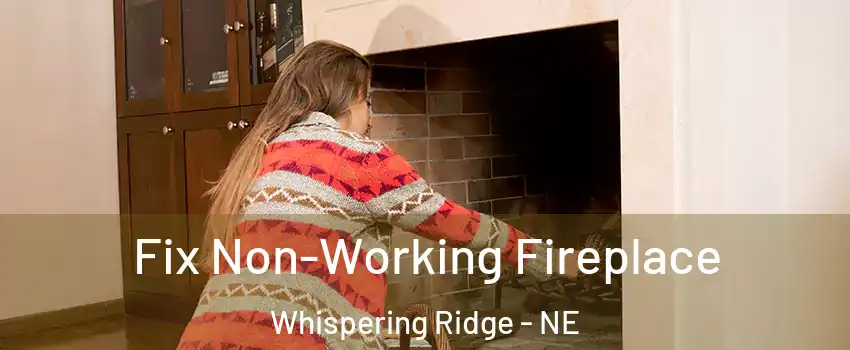 Fix Non-Working Fireplace Whispering Ridge - NE