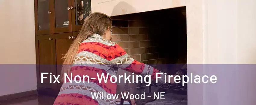 Fix Non-Working Fireplace Willow Wood - NE