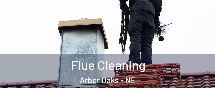 Flue Cleaning Arbor Oaks - NE