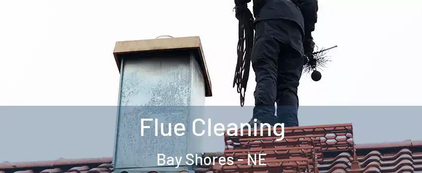 Flue Cleaning Bay Shores - NE