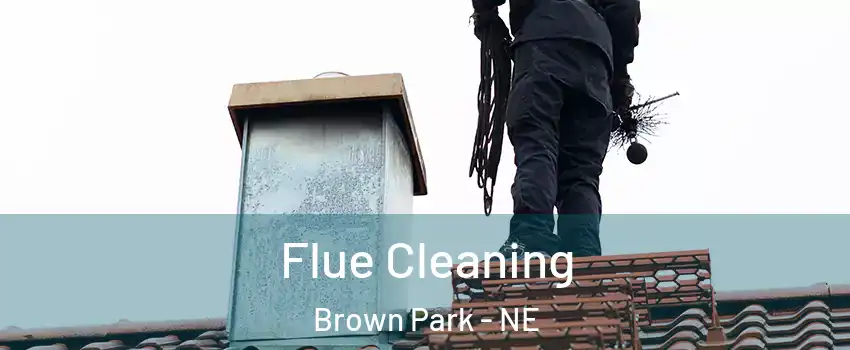Flue Cleaning Brown Park - NE