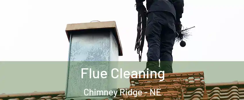 Flue Cleaning Chimney Ridge - NE