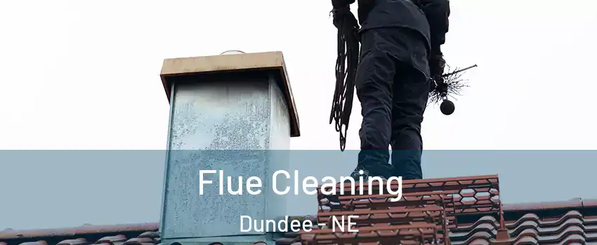 Flue Cleaning Dundee - NE