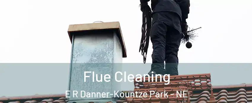 Flue Cleaning E R Danner-Kountze Park - NE