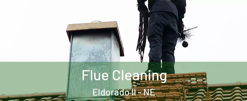Flue Cleaning Eldorado II - NE