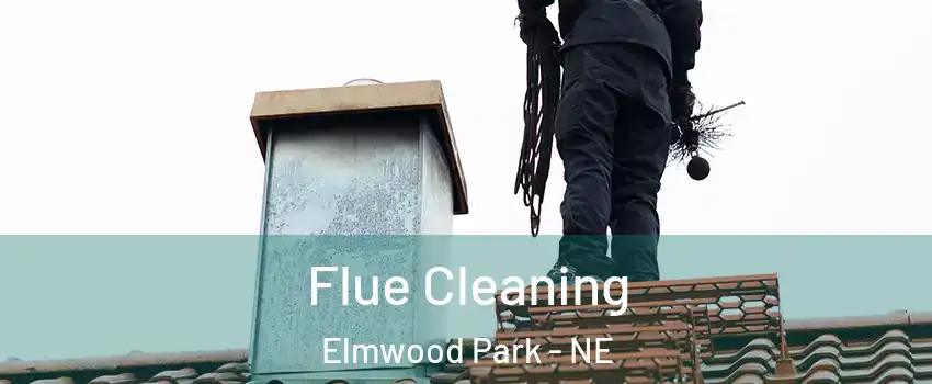 Flue Cleaning Elmwood Park - NE