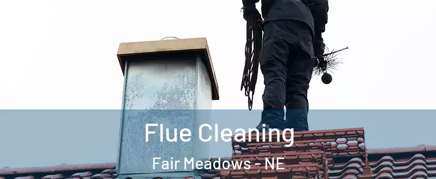 Flue Cleaning Fair Meadows - NE
