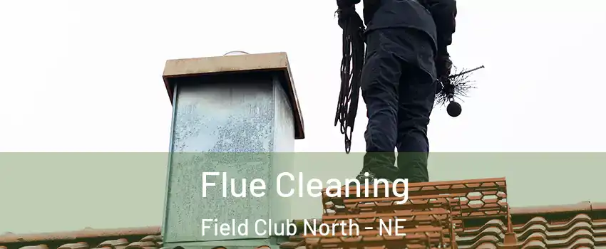 Flue Cleaning Field Club North - NE