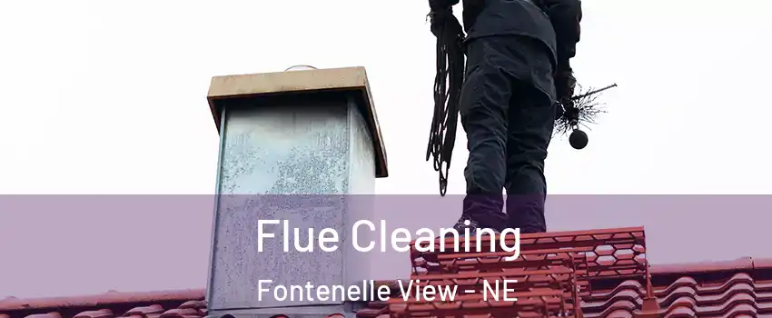 Flue Cleaning Fontenelle View - NE