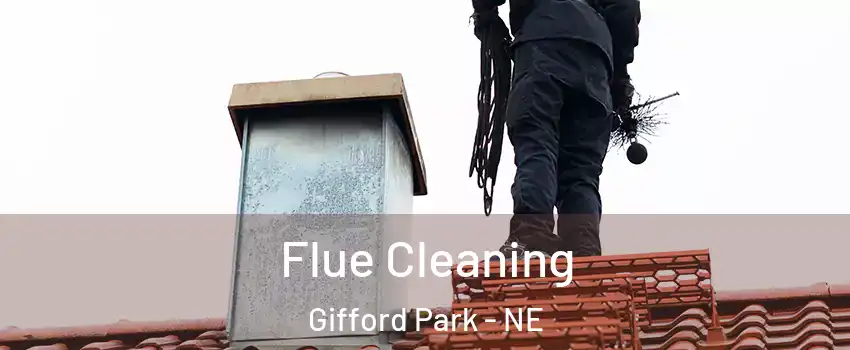 Flue Cleaning Gifford Park - NE
