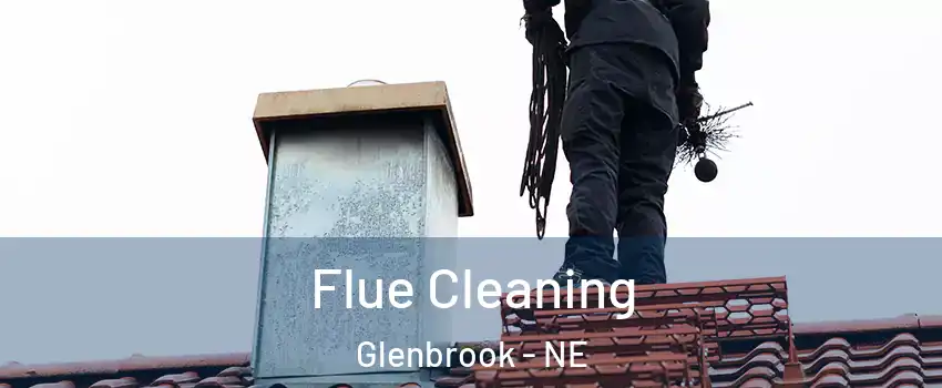 Flue Cleaning Glenbrook - NE