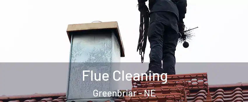 Flue Cleaning Greenbriar - NE