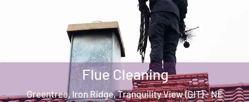 Flue Cleaning Greentree, Iron Ridge, Tranquility View (GIT) - NE