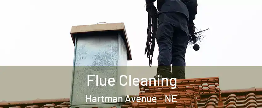 Flue Cleaning Hartman Avenue - NE