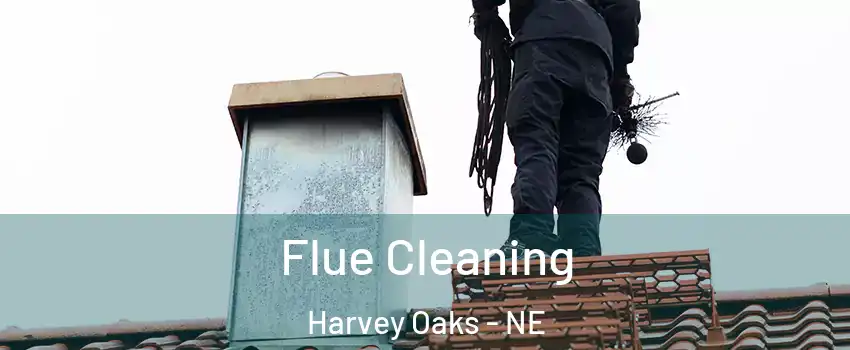 Flue Cleaning Harvey Oaks - NE