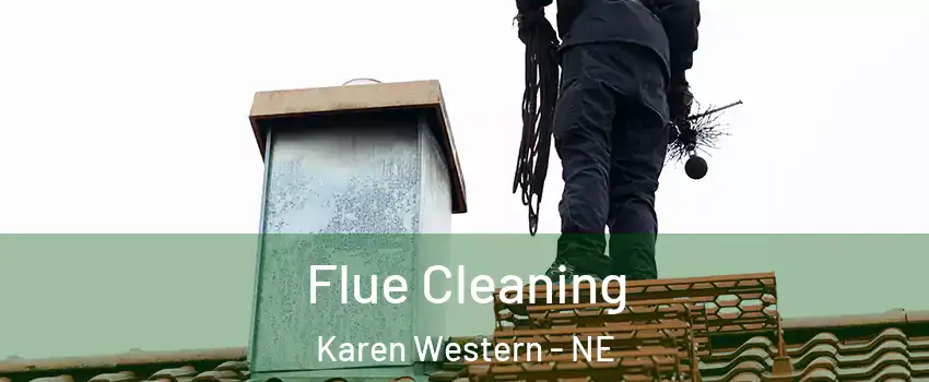 Flue Cleaning Karen Western - NE