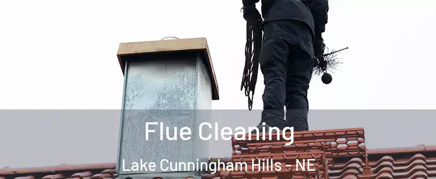 Flue Cleaning Lake Cunningham Hills - NE