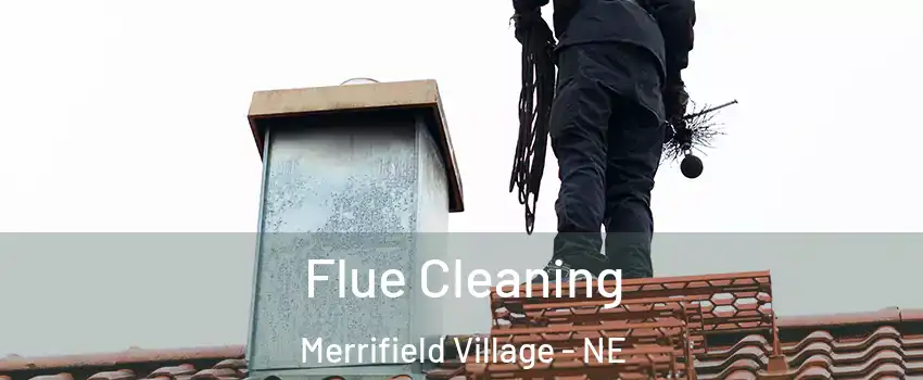 Flue Cleaning Merrifield Village - NE