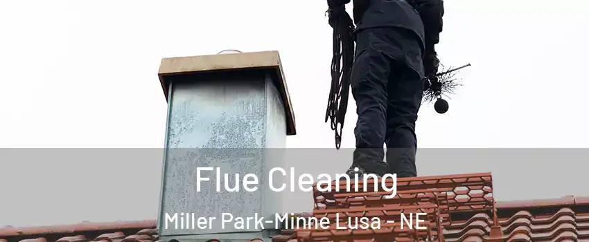 Flue Cleaning Miller Park-Minne Lusa - NE