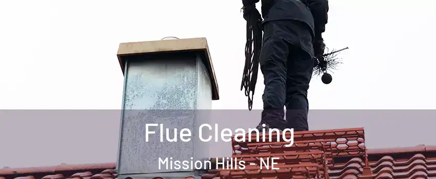 Flue Cleaning Mission Hills - NE