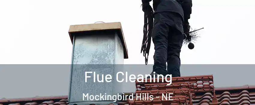 Flue Cleaning Mockingbird Hills - NE