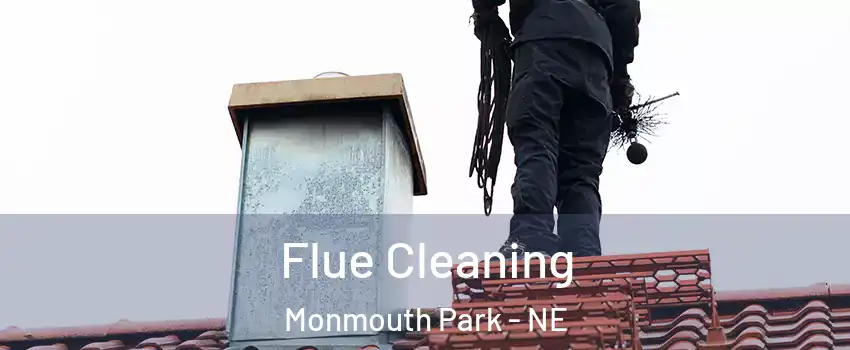 Flue Cleaning Monmouth Park - NE