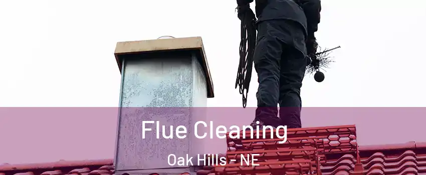Flue Cleaning Oak Hills - NE