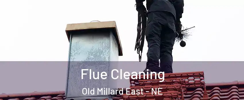 Flue Cleaning Old Millard East - NE