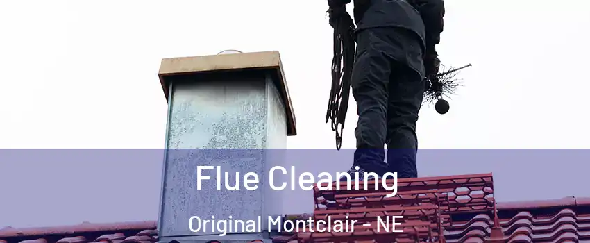 Flue Cleaning Original Montclair - NE