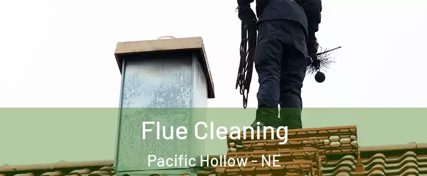 Flue Cleaning Pacific Hollow - NE