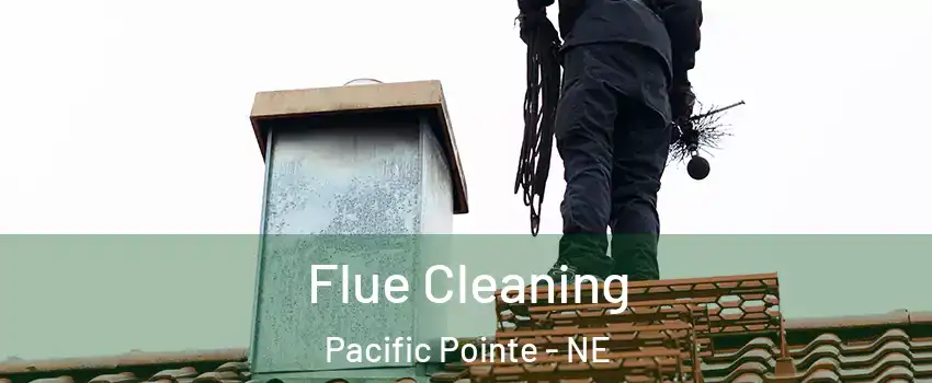 Flue Cleaning Pacific Pointe - NE