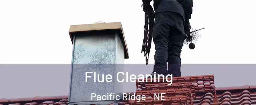 Flue Cleaning Pacific Ridge - NE
