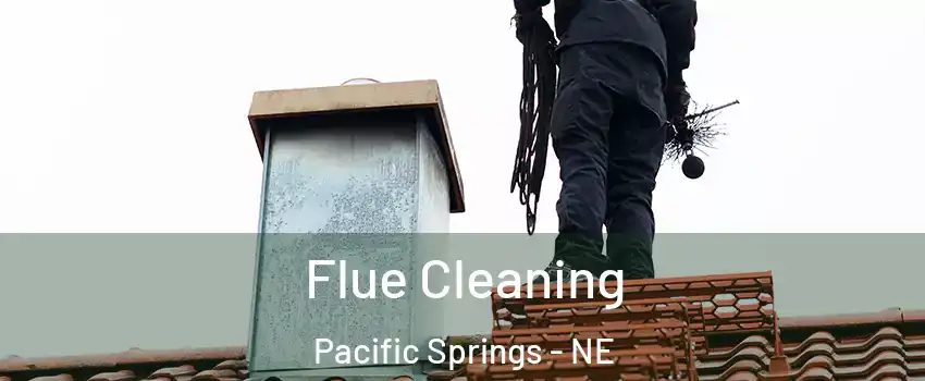 Flue Cleaning Pacific Springs - NE