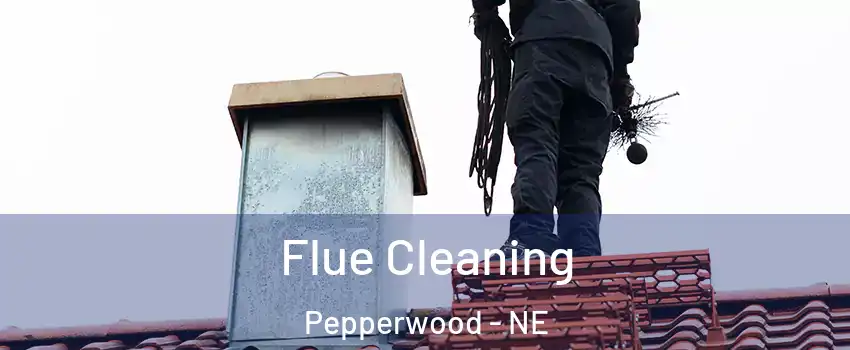 Flue Cleaning Pepperwood - NE