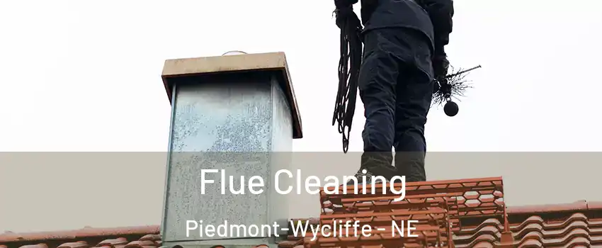 Flue Cleaning Piedmont-Wycliffe - NE