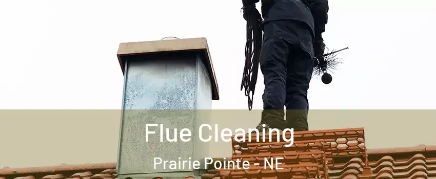 Flue Cleaning Prairie Pointe - NE
