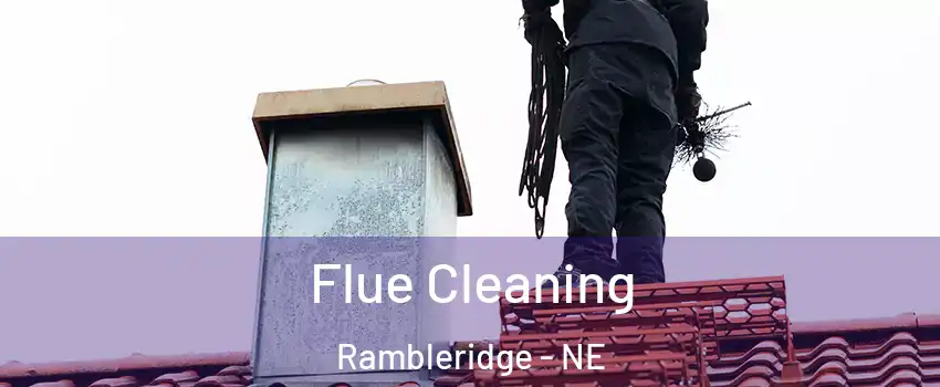 Flue Cleaning Rambleridge - NE