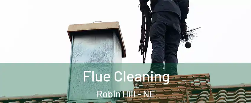 Flue Cleaning Robin Hill - NE