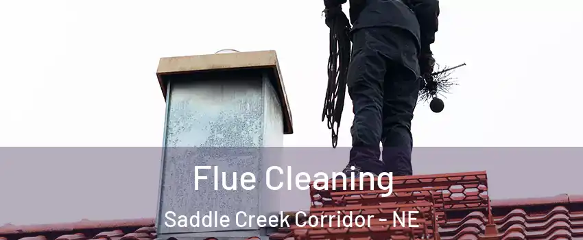 Flue Cleaning Saddle Creek Corridor - NE