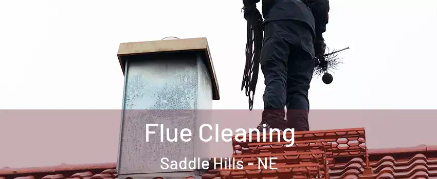 Flue Cleaning Saddle Hills - NE
