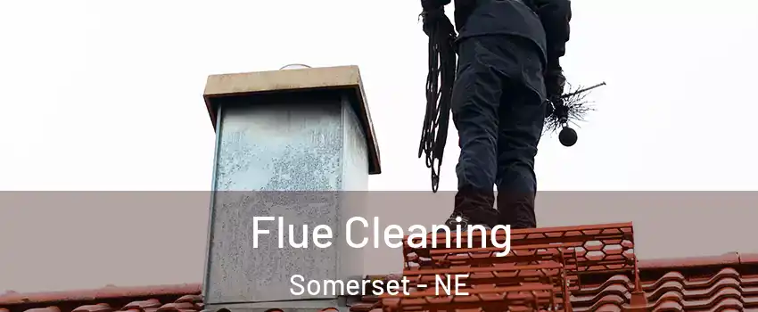Flue Cleaning Somerset - NE