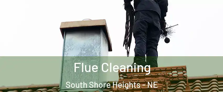 Flue Cleaning South Shore Heights - NE