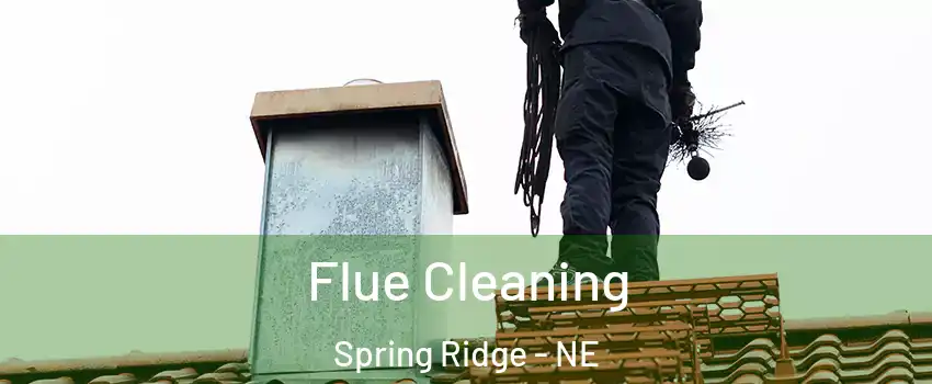 Flue Cleaning Spring Ridge - NE