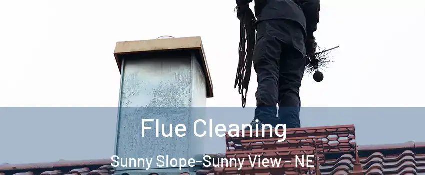 Flue Cleaning Sunny Slope-Sunny View - NE
