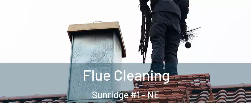 Flue Cleaning Sunridge #1 - NE