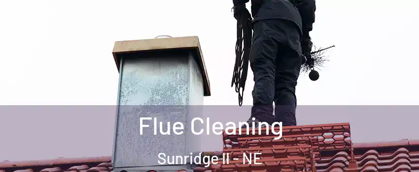 Flue Cleaning Sunridge II - NE