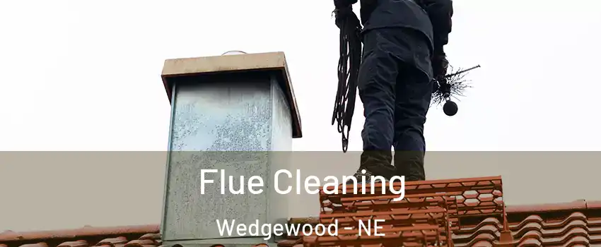 Flue Cleaning Wedgewood - NE