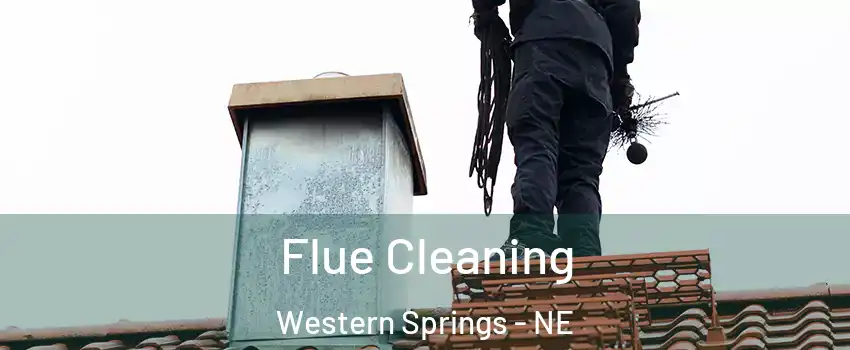 Flue Cleaning Western Springs - NE