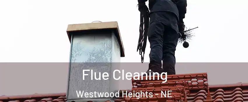 Flue Cleaning Westwood Heights - NE