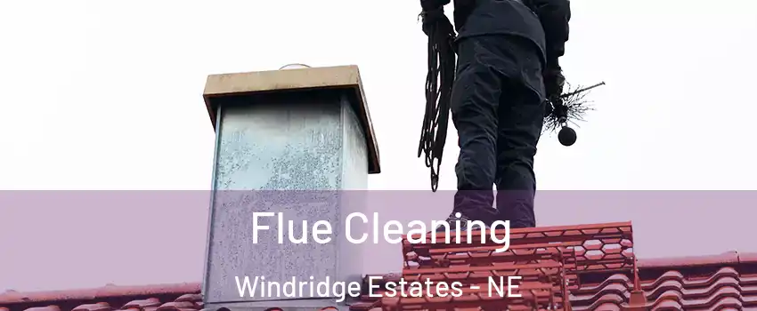 Flue Cleaning Windridge Estates - NE